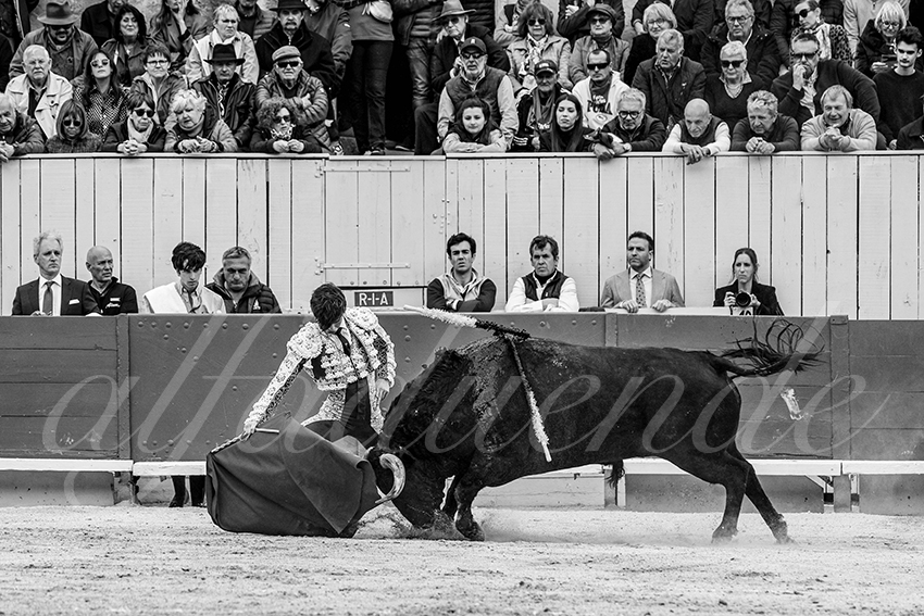 20250420 arles 022 fd