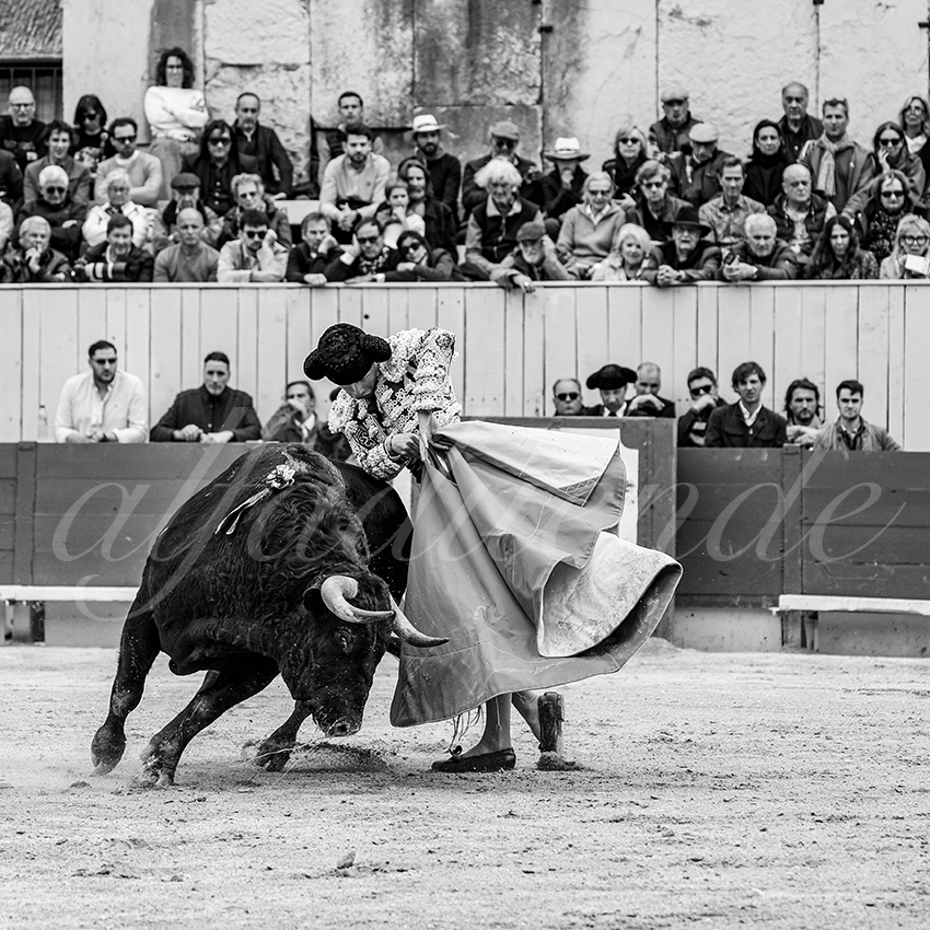 20250420 arles 021 fd