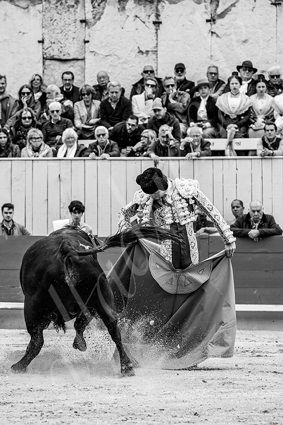 20250420 arles 020 fd