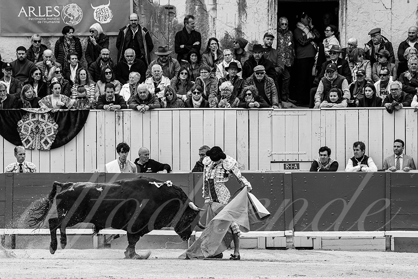 20250420 arles 019 fd