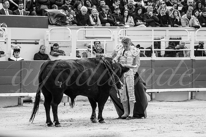 20250420 arles 017 fd