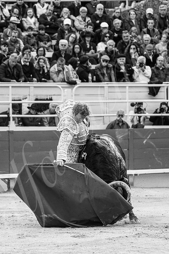 20250420 arles 016 fd