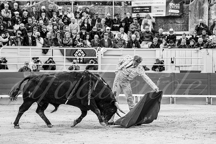 20250420 arles 015 fd