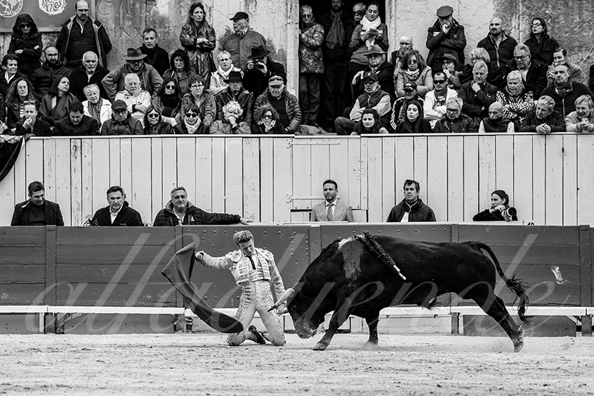 20250420 arles 014 fd