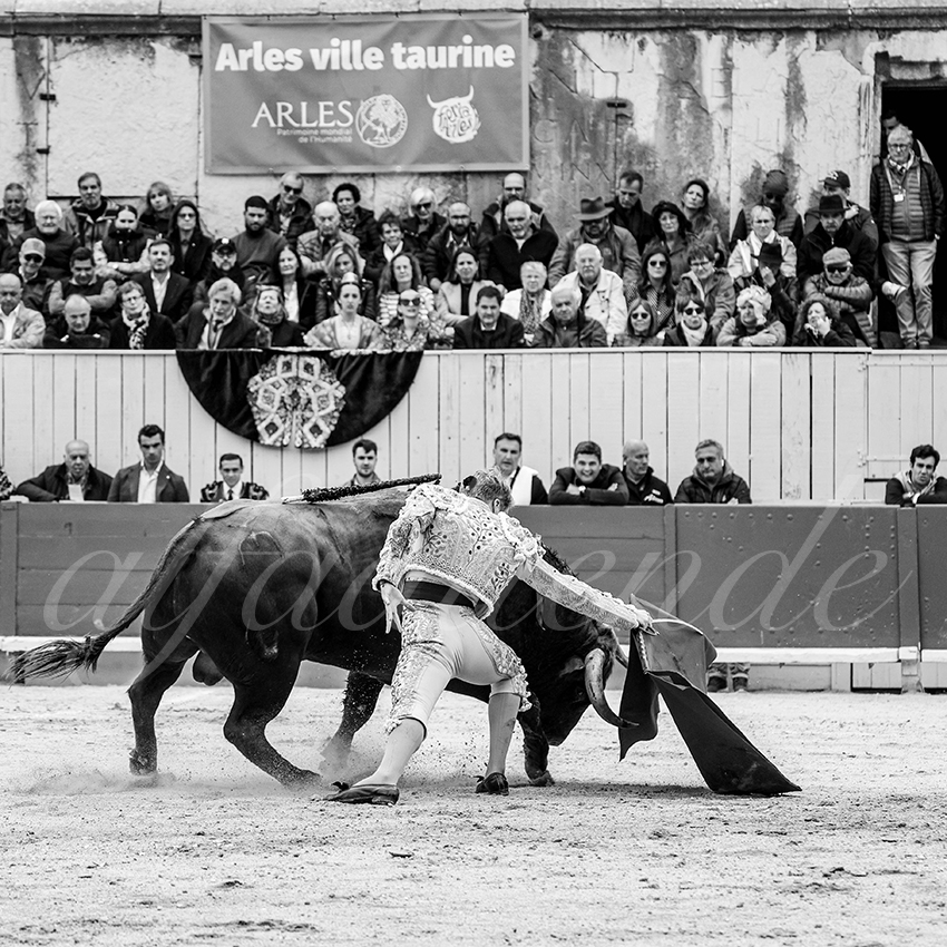 20250420 arles 013 fd