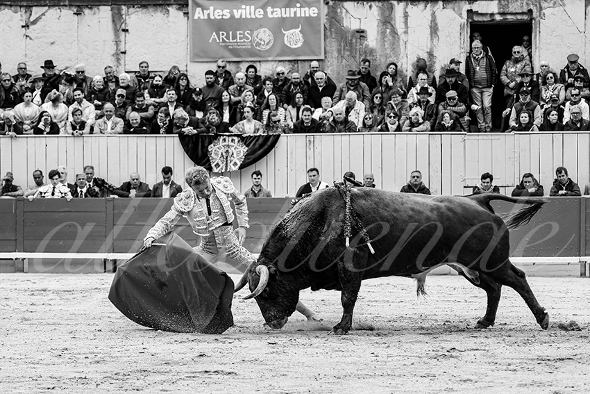 20250420 arles 012 fd