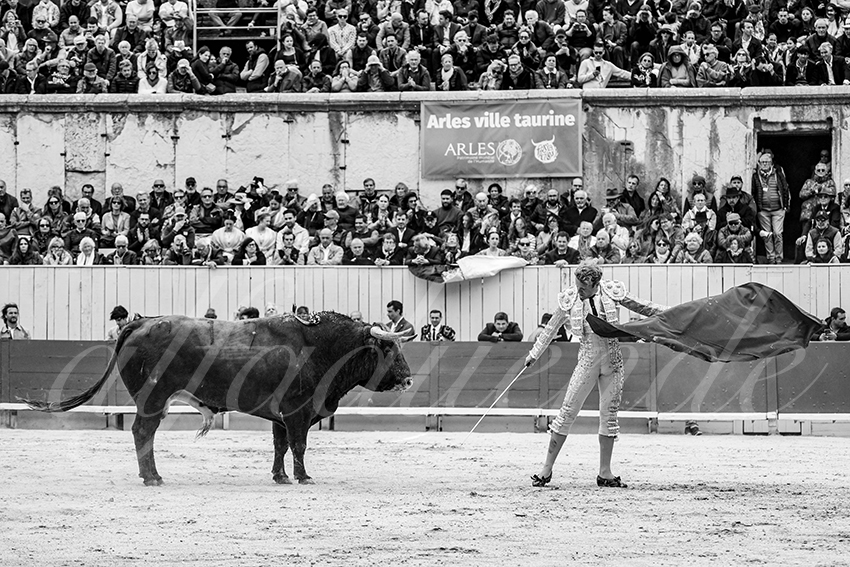 20250420 arles 011 fd