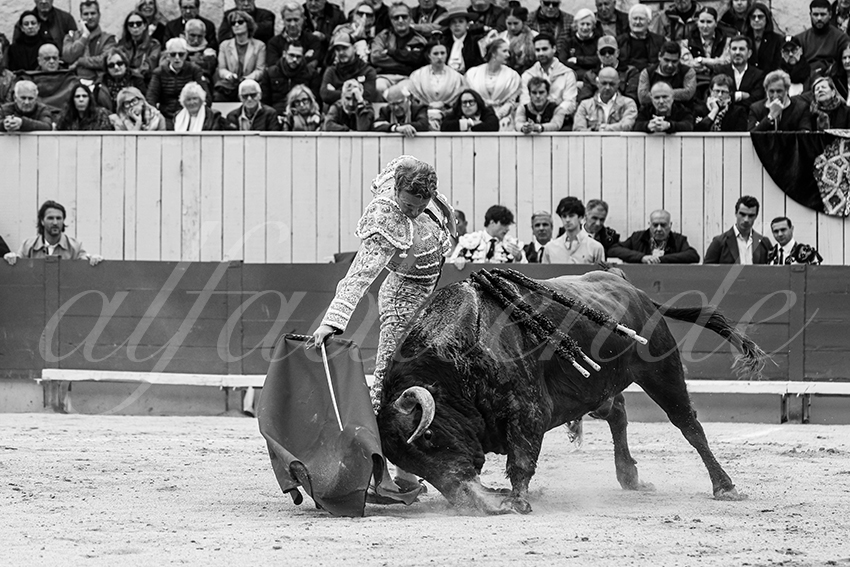 20250420 arles 010 fd