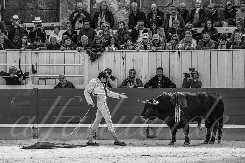 20250420 arles 009 fd