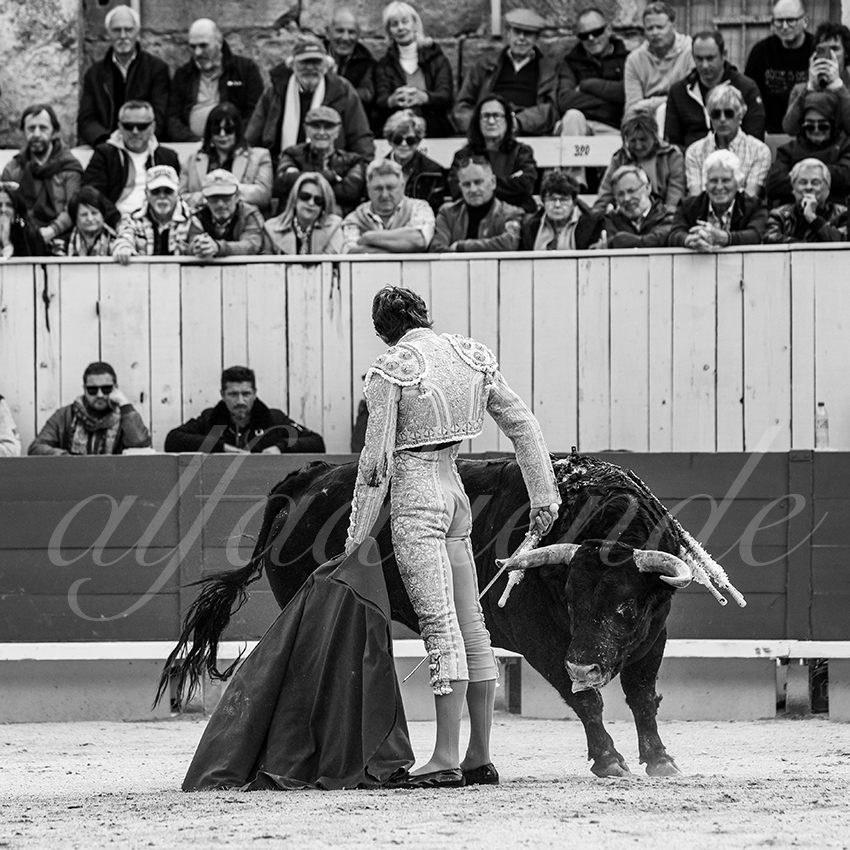 20250420 arles 008 fd