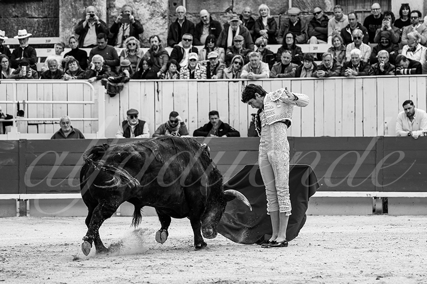 20250420 arles 007 fd