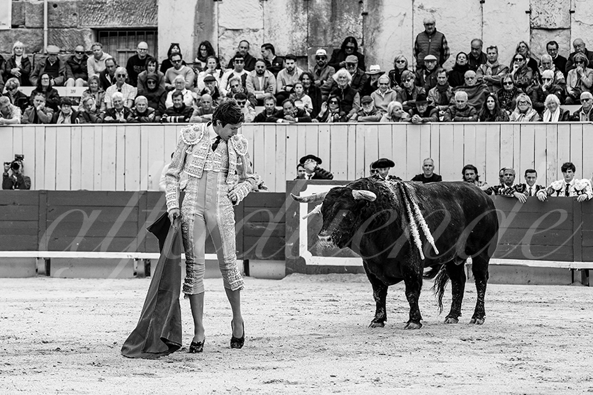 20250420 arles 006 fd