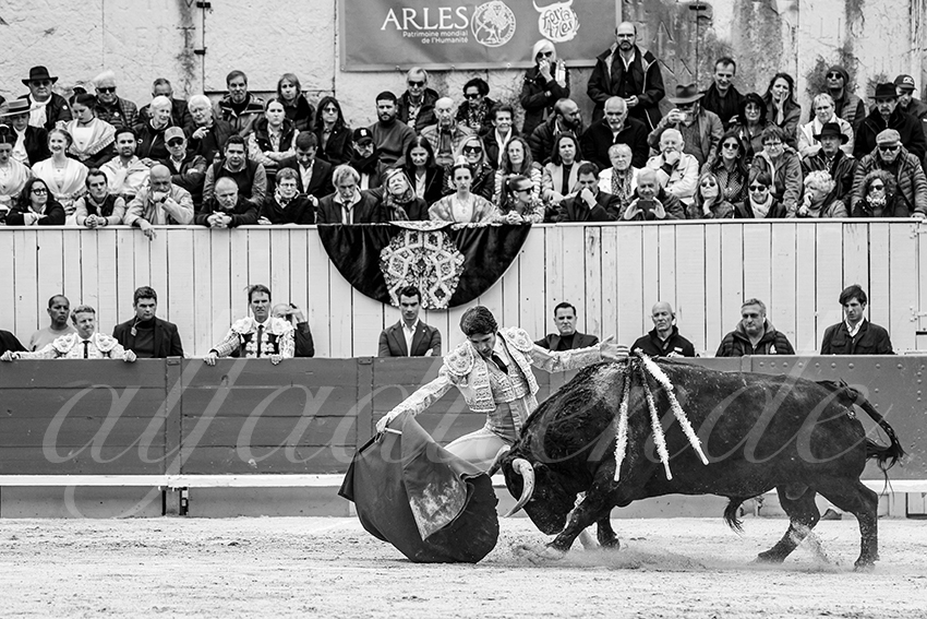 20250420 arles 005 fd