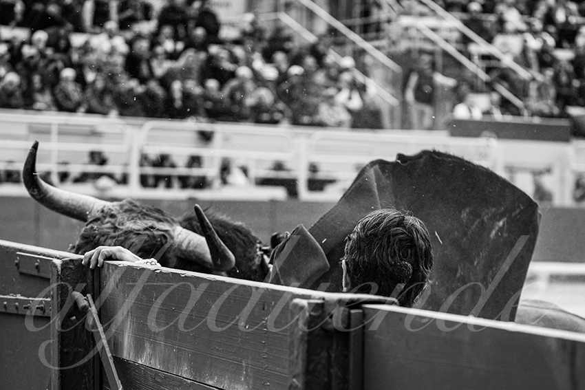 20250420 arles 004 fd