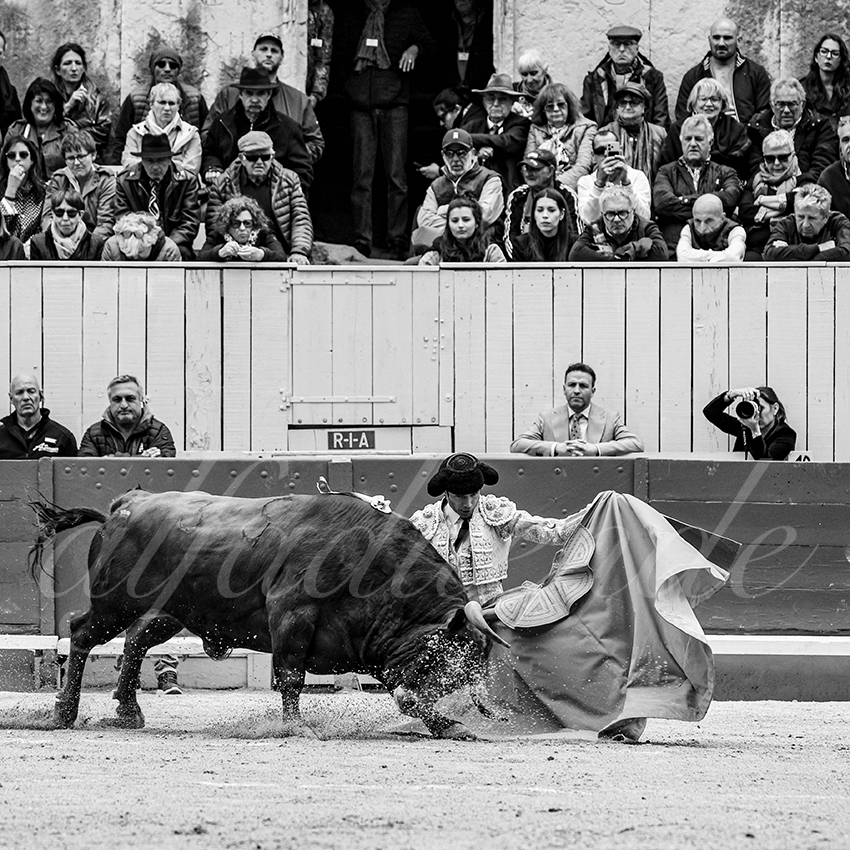 20250420 arles 003 fd