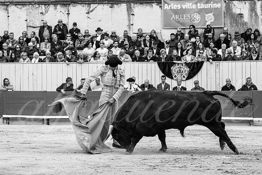 20250420 arles 002 fd