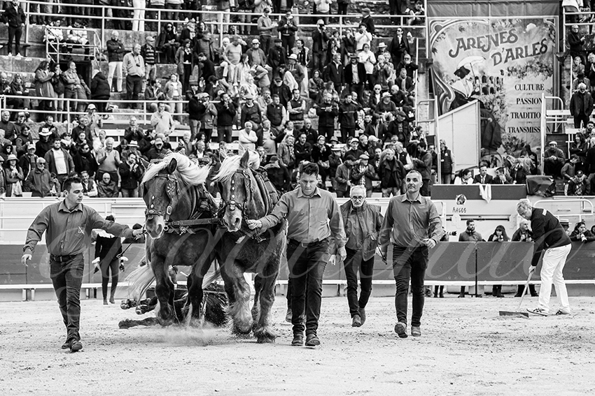 20250420 arles 030 fd