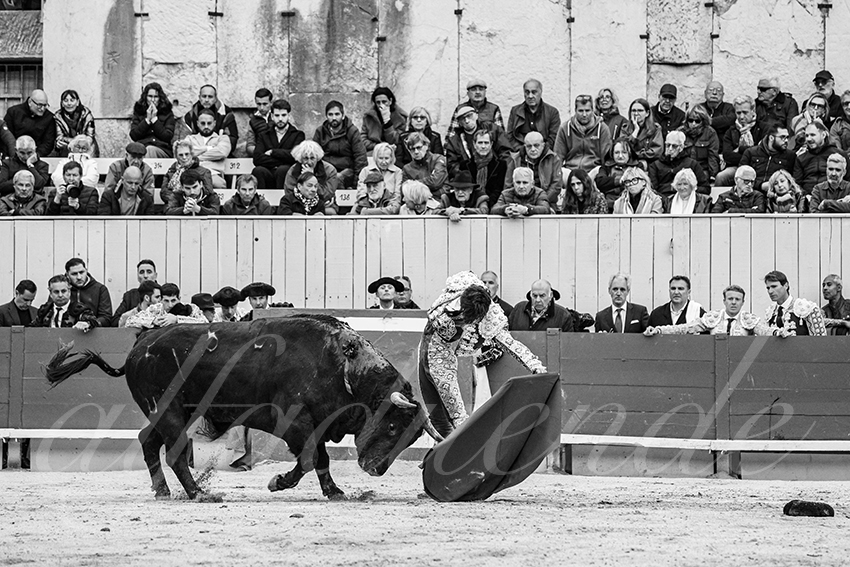 20250420 arles 029 fd