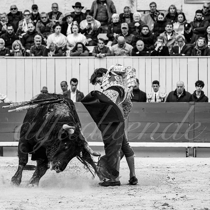 20250420 arles 028 fd