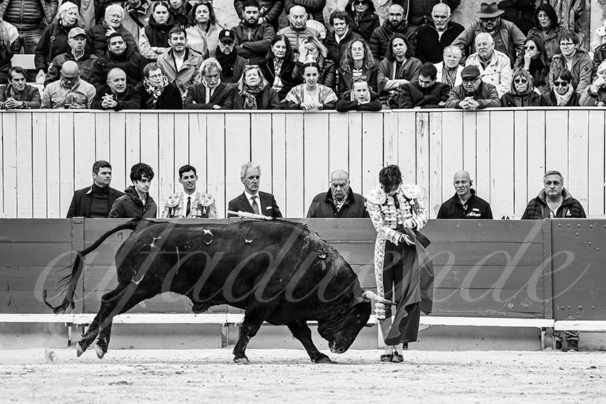 20250420 arles 027 fd