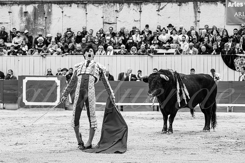 20250420 arles 026 fd