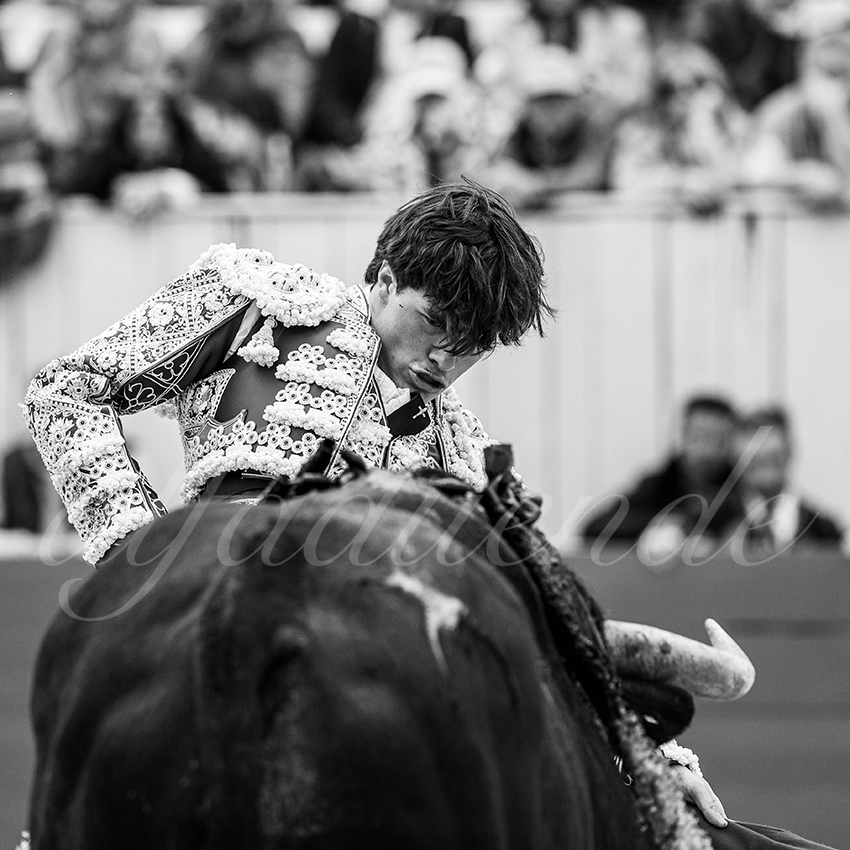 20250420 arles 025 fd