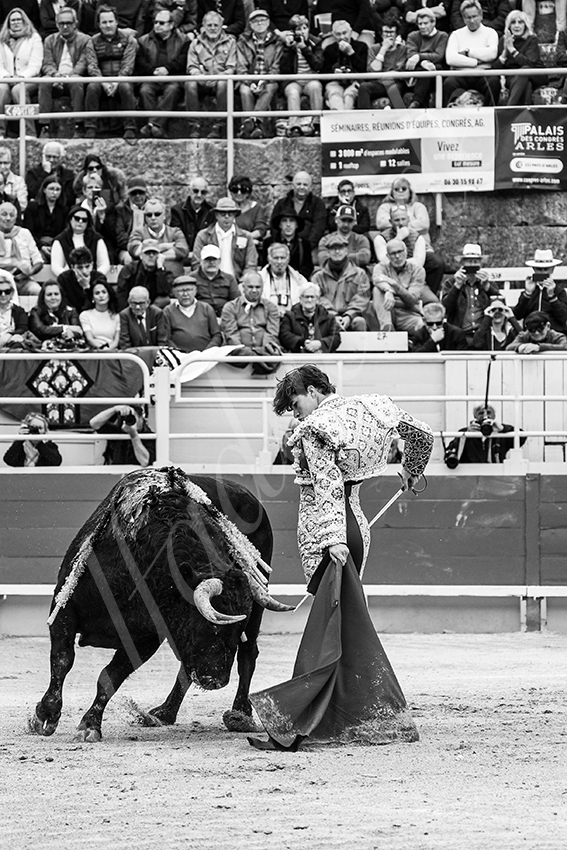 20250420 arles 024 fd