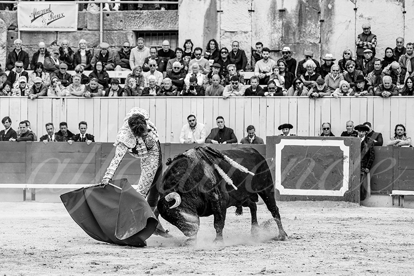 20250420 arles 023 fd