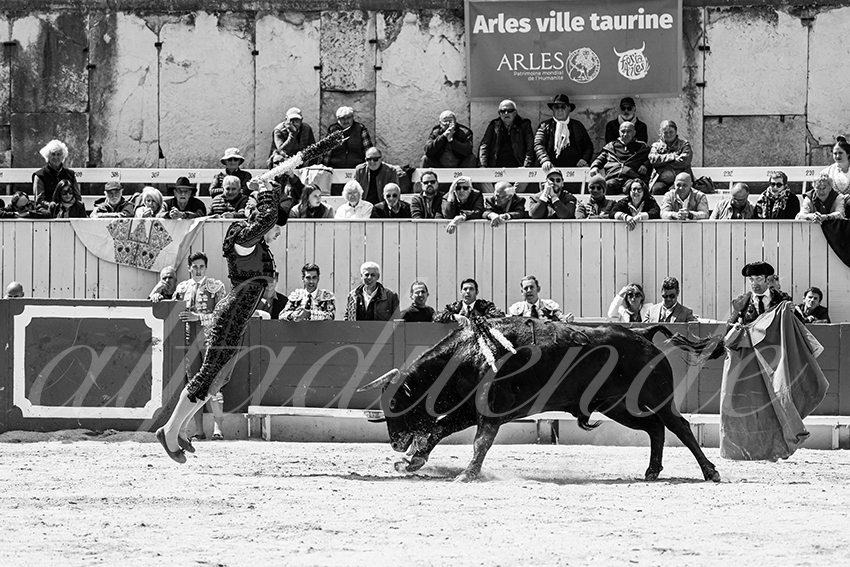 Arles 20250419 nov cuadrillas 001 copie