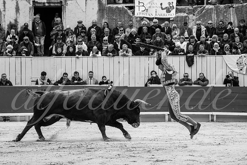 20250419 arles cuadrillas 003 copie