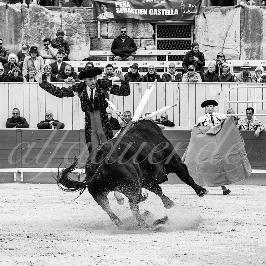 20250419 arles cuadrillas 002 copie