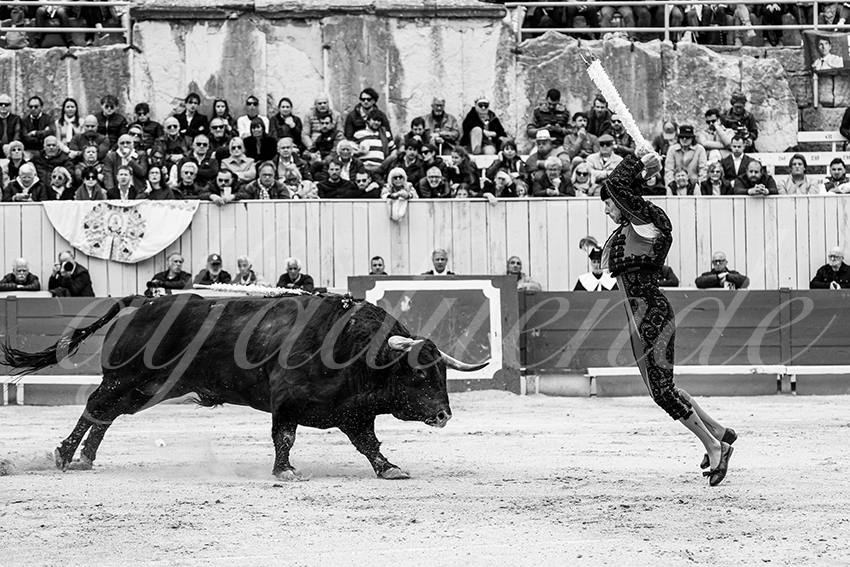 20250419 arles cuadrillas 001 copie