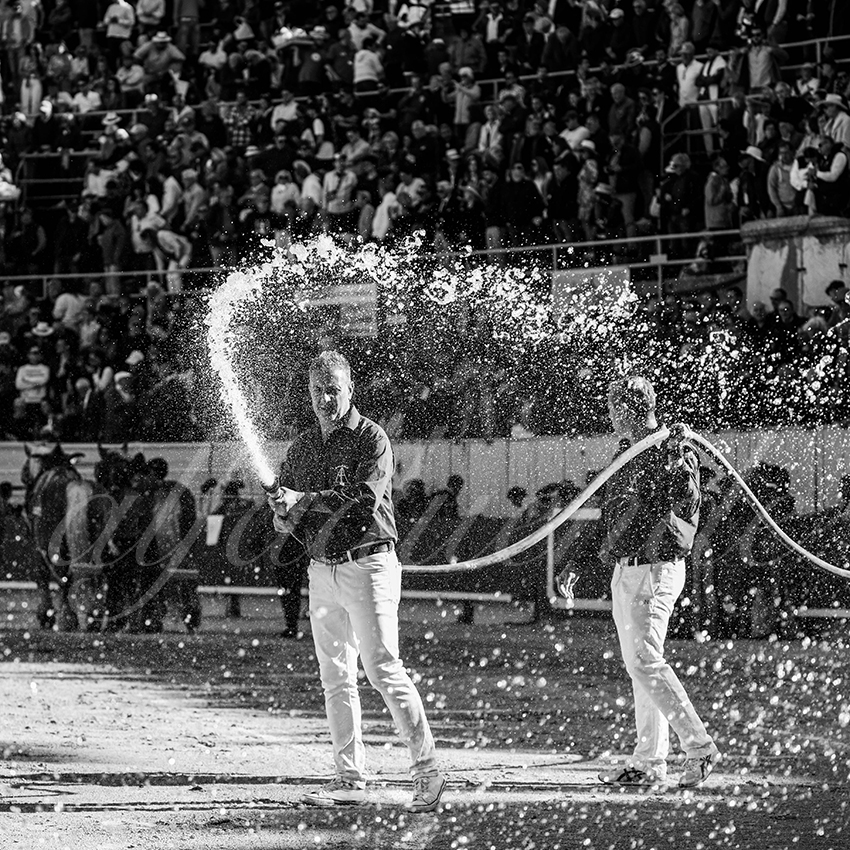 20250420 arles 025 fd