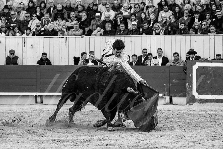 20250420 arles 024 fd