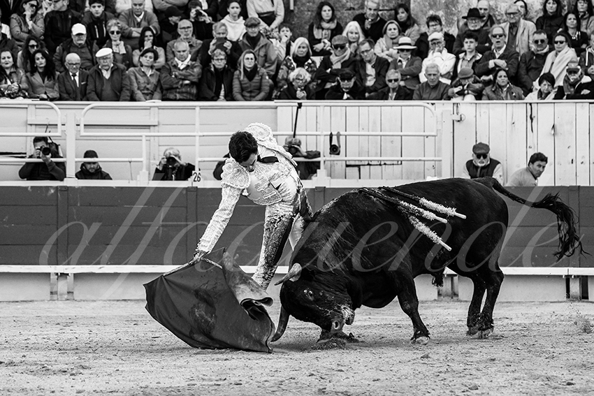 20250420 arles 023 fd