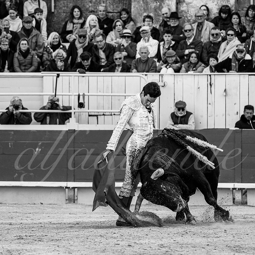 20250420 arles 022 fd