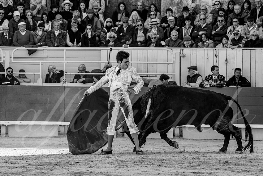 20250420 arles 020 fd