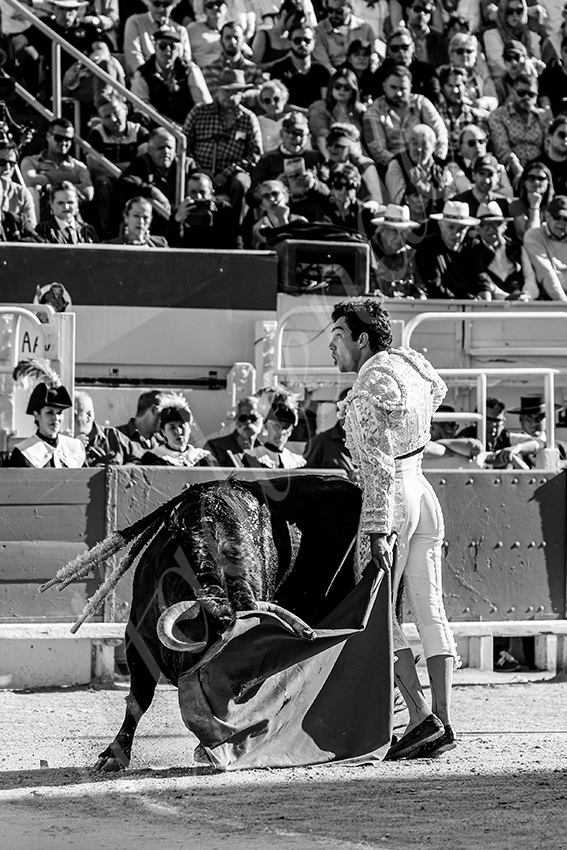 20250420 arles 019 fd