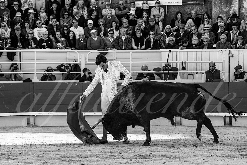 20250420 arles 018 fd