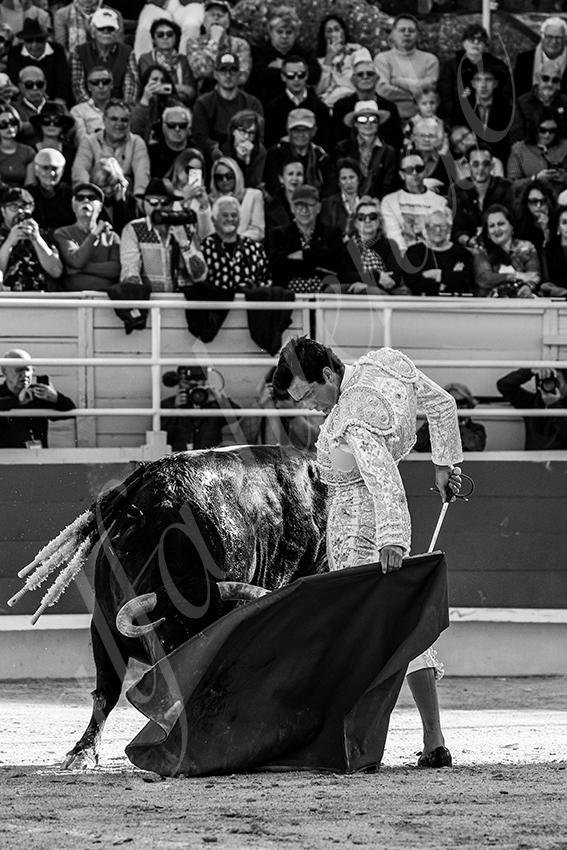 20250420 arles 017 fd