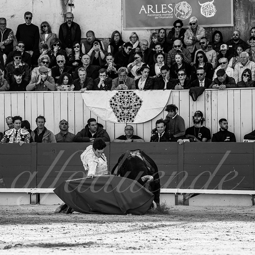 20250420 arles 016 fd