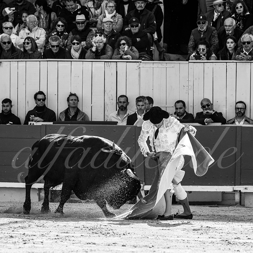 20250420 arles 014 fd