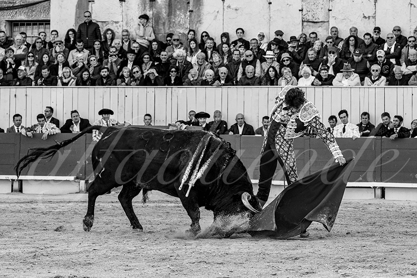 20250420 arles 012 fd