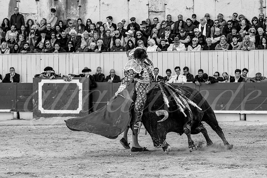 20250420 arles 011 fd