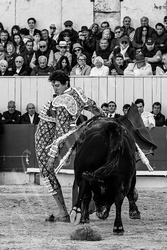 20250420 arles 010 fd