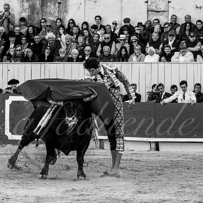 20250420 arles 009 fd