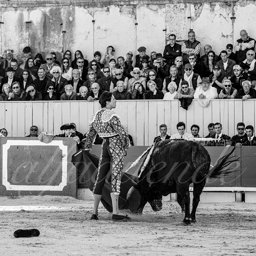 20250420 arles 008 fd