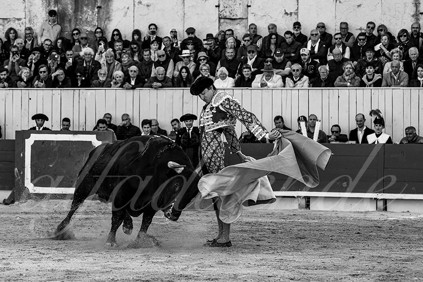 20250420 arles 007 fd