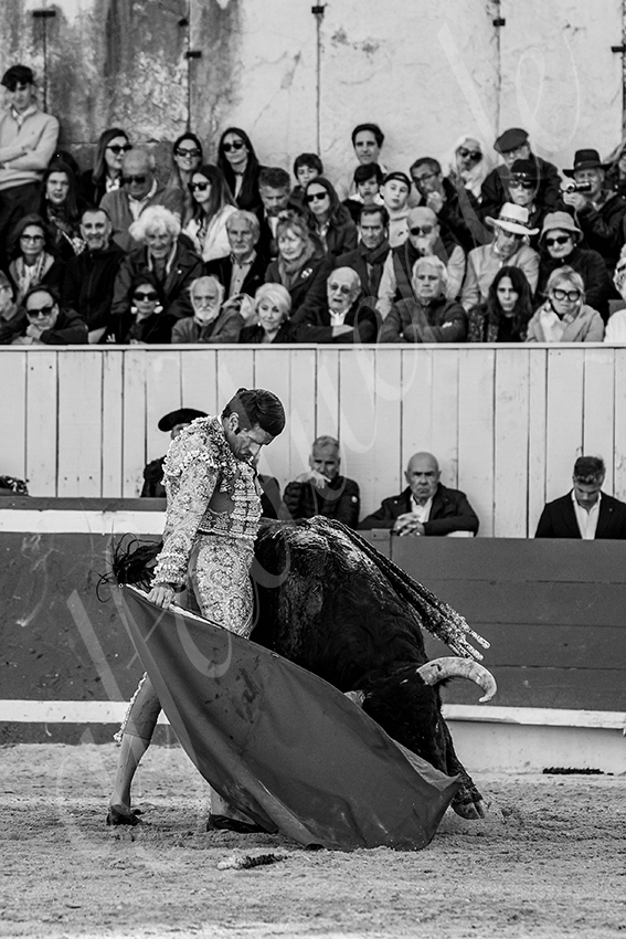 20250420 arles 006 fd