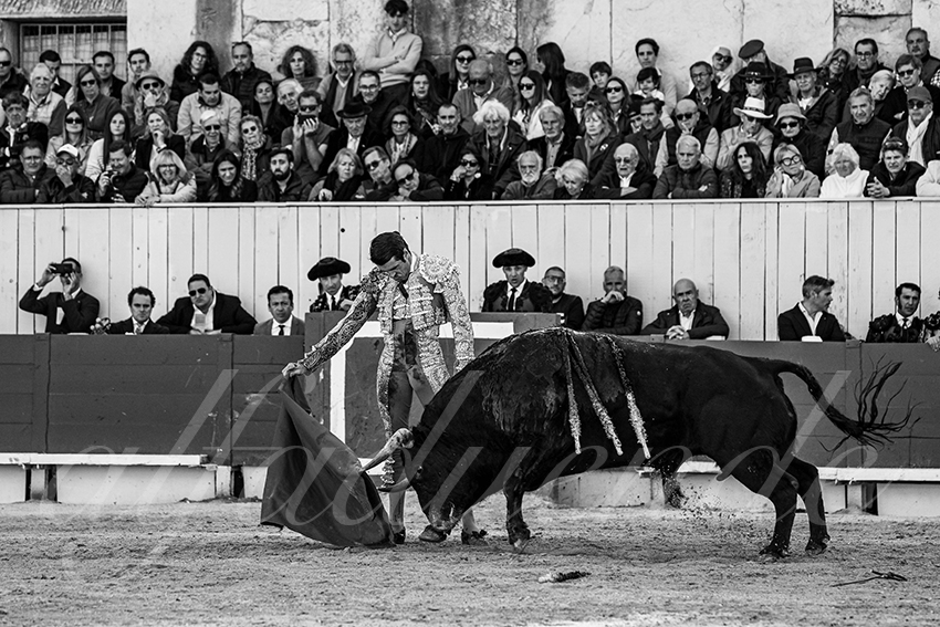 20250420 arles 005 fd